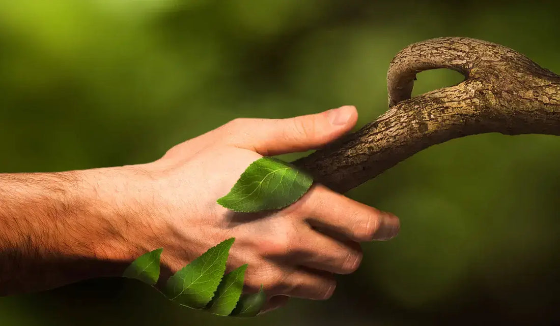 image d'article de blog, remède naturel pour arthrose