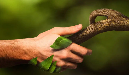 image d'article de blog, remède naturel pour arthrose