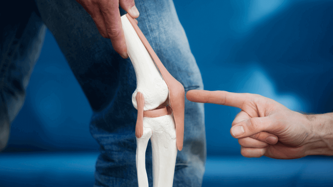 l'arthrose : Symptômes, causes et traitements