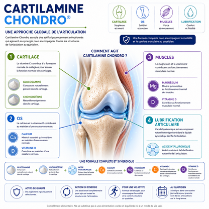 CARTILAMINE CHONDRO