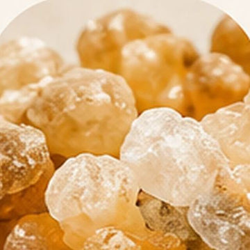 Illustration de gomme-résine de Boswellia serrata