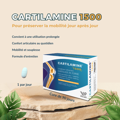 Cartilamine 1500