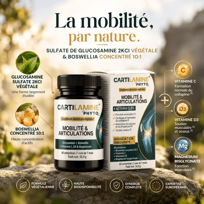 phyto vital santé